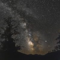 Starry Night - Alan Ingersoll